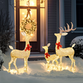 83045769