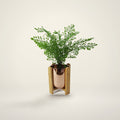 Gold ceramic planter with bamboo stand