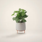 White ceramic planter with metal stand